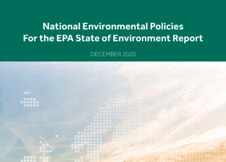 recent research on environmental policy